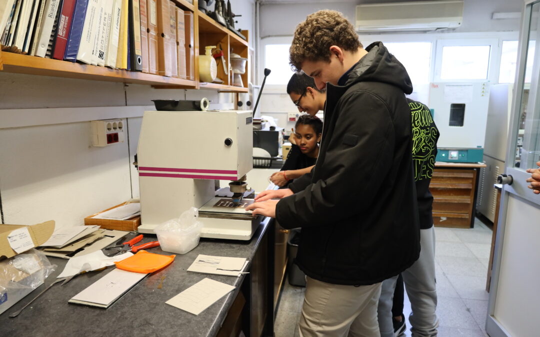 Alumnos del Programa 4º ESO + Empresa 2024 Visitan el Servicio de Caracterización del ICTP